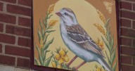 Hopkins mural paints powerful message to protect Minnesota birds