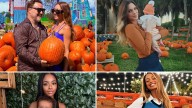 Celebrity Pumpkin Photos 2025 ... It's A Gourd Ole' Time!