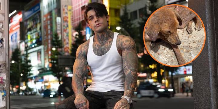 Yeferson Cossio le dio nueva oportunidad de vida a un perro que se encontró en Amazonas: esto hizo