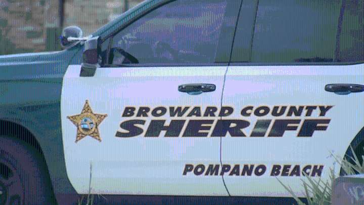 Dog injured after being shot in Pompano Beach: BSO