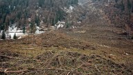 La tala rasa de bosques aumenta 18 veces la frecuencia y magnitud de las inundaciones catastróficas