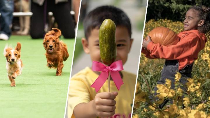 The Weekend Scene: Things to do in the DC area, through Oct. 5