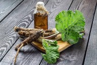 ¿Cómo aprovechar los beneficios de la raíz de bardana?