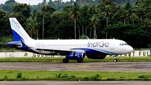 Power bank catches fire on IndiGo flight at Delhi's Indira Gandhi International Airport