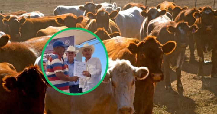 Más de 868 millones de pesos para ganadería sonorense: Arranca programa de apoyo a ganaderos