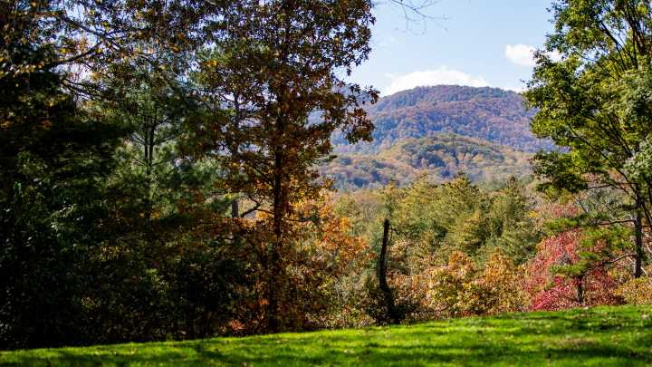 Is Asheville a cheap place to visit? Here's what KAYAK…