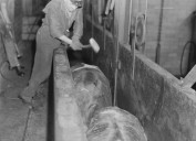 A peek into Hormel Food’s tumultuous past