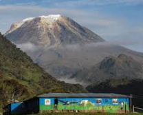 Descubren nueva especie de planta única en el Cañón de Combeima