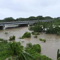 New danger for hurricane-hit Jamaica: wandering crocodiles