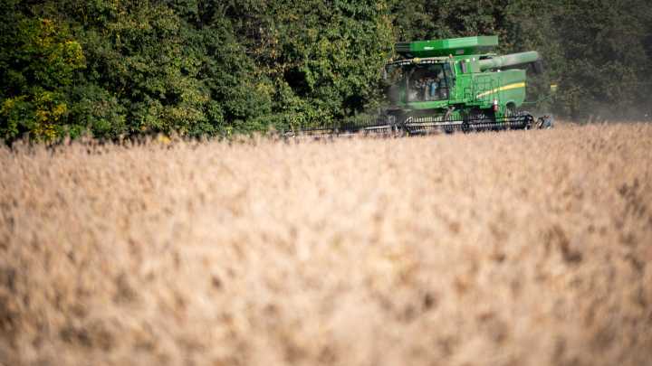 With China spurning U.S. soybeans, farmer bailout reportedly ready