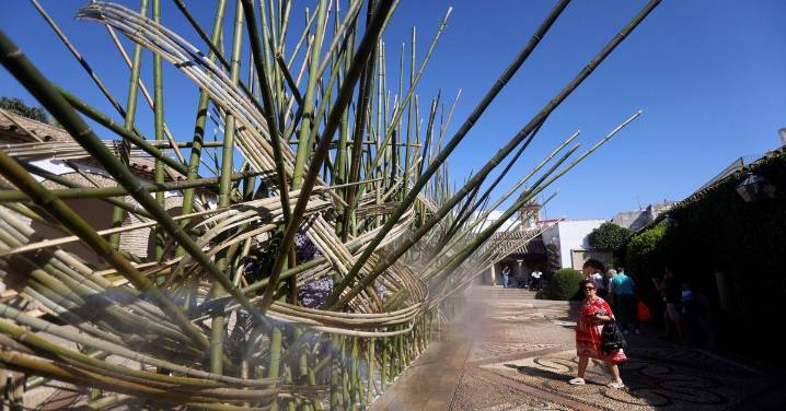 Flora alcanza sus cifras máximas de visitas con más de 200.000 en seis días de exhibición