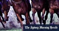 Race-by-race preview and tips for Taree on Friday