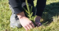 Putting down roots: Community tree planting event at Legends on the Niagara