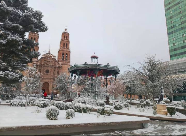Caen en Chihuahua primeras heladas bajo cero