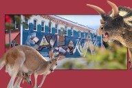 Dinos, Kangaroos, and Caves! The Perfect Fall Break Family Trip