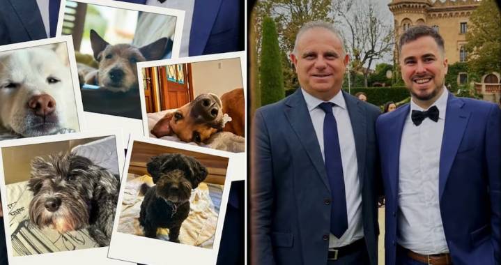 Histórico: una pareja se casará con sus perros como testigos de honor en Mendoza