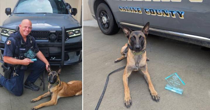 Kansas sheriffs office welcomes new K