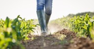 Where Natural Disasters Are Having the Biggest Impact on the Nation's Food Supply