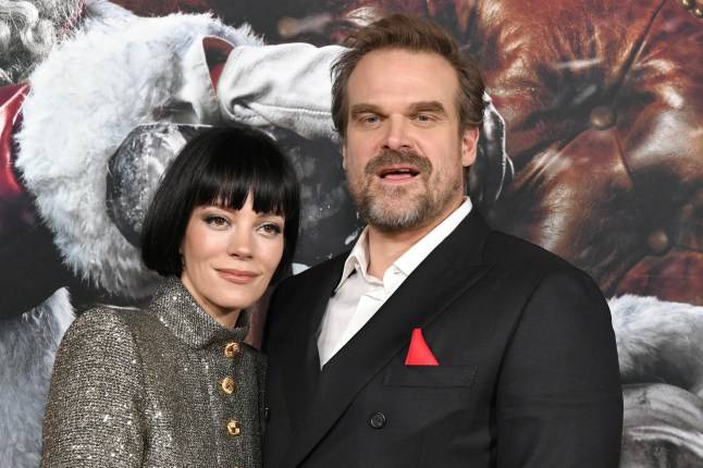 Lily Allen’s ex David Harbour makes ‘cheating’ joke before explosive album