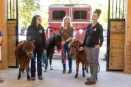 Mini Horses, Major Smiles: Nemours Children’s Health teams up with local school to provide equine therapy