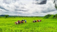 Nine Maharashtra Districts Selected For Pradhan Mantri Dhan Dhaanya Krishi Yojana