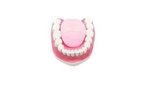 Chinese scientists invent tongue that uses milk to test spicy food