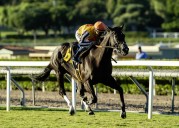 Sumter, Mike Smith make fast work of Santa Anita repeat