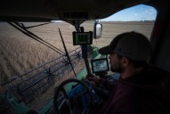 Minnesota soybean farmers fear lasting scars from trade war