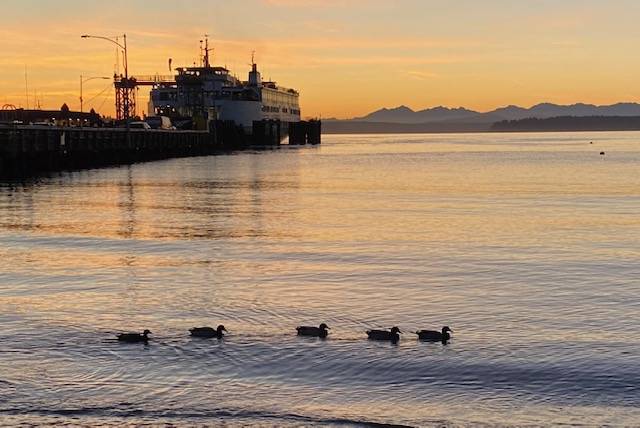 West Seattle Blog… | TRAFFIC CAMS, WEATHER, ROAD WORK, TRANSIT: Wednesday info