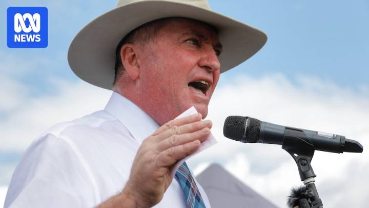New England voters divided by Barnaby Joyce's flirtation with One Nation