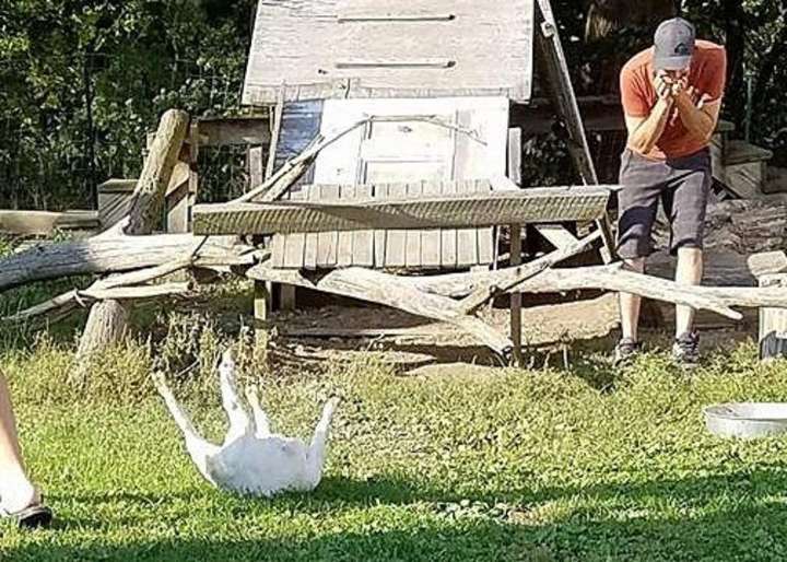 One Place in New York So Haunted Even Goats Are Fainting
