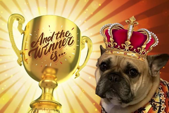 It’s Time to Reveal Our Howl-o-Ween Happy Tails Champion!