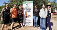 SOS Animal cumple 30 años de existencia