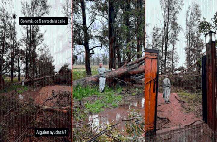 Temporal en Concepción del Uruguay dejó serios daños materiales