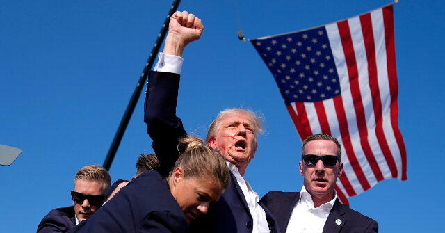 PHOTO: Drafts of America's Birthday Coin Show Trump in Iconic 'Fight' Stance