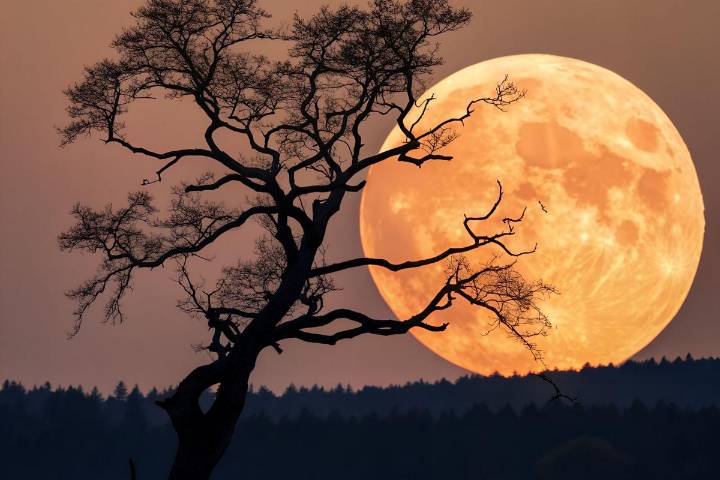 Will 2025 Have a Harsh Winter? KY Folklore Looks to the Moon