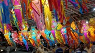 Learn about Diwali, the Festival of Lights