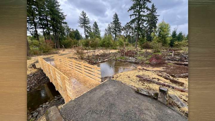 Campen Creek Reconnection Project restores nine acres of floodplain habitat