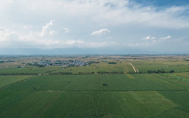 World moving towards larger farms, driven by declining rural populations: Study