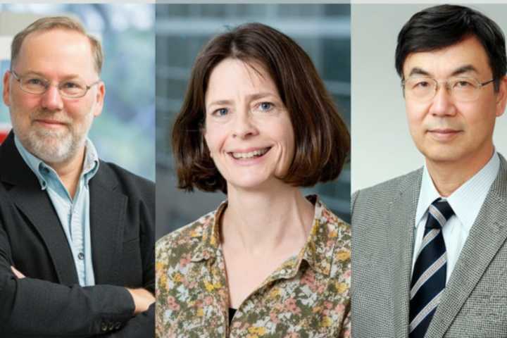 En 1995 unos investigadores descubrieron el "gen pacificador" de nuestro cuerpo. Hoy su hallazgo les ha valido un Nobel