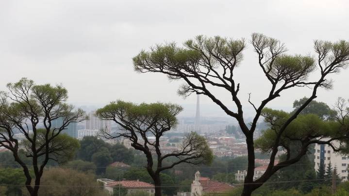 Hay alerta amarilla por viento zonda para este viernes 31 de octubre en San Juan: las zonas afectadas