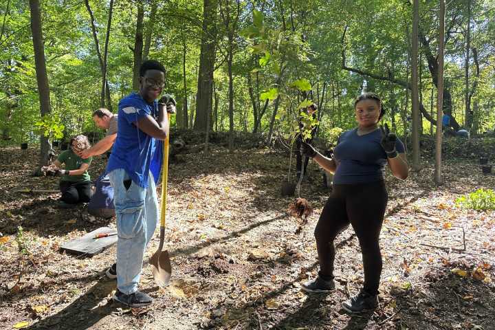 Hundreds of Native Trees Added to Brooklyn's Prospect Park