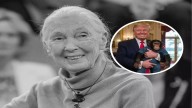 Jane Goodall's once compared Donald Trump to male male chimpanzees