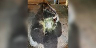 Large pothole shuts down traffic on I-75 N in Clayton County, GDOT says