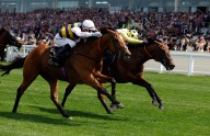 Rosallion is ready to roar to QEII glory