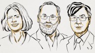 Dan Nobel de Medicina 2025 a 3 Científicos por Trabajo Sobre Tolerancia Inmunitaria Periférica
