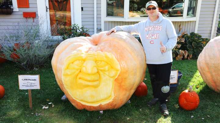 Midwesterners are raising giant pumpkins