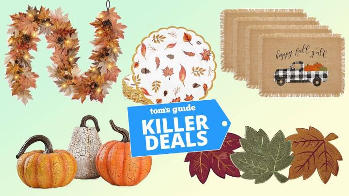 I found the best budget-friendly fall decor on Amazon — shop my 9 favorite deals under $25