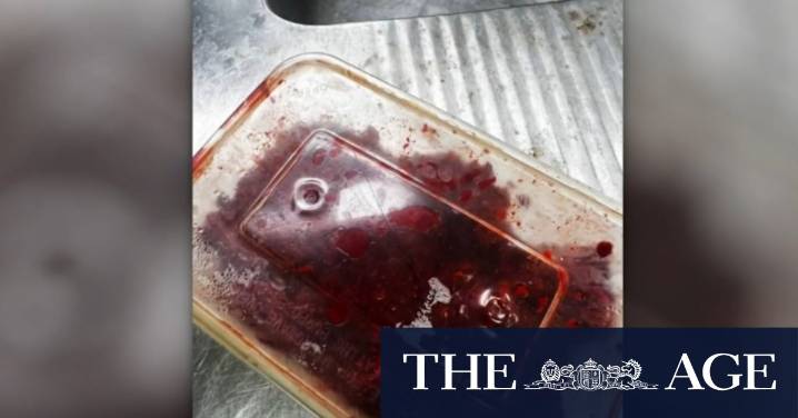 Homemade food products believed to be linked to Queensland rat poisoning cases