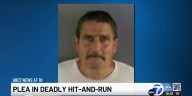 Plea in deadly hit